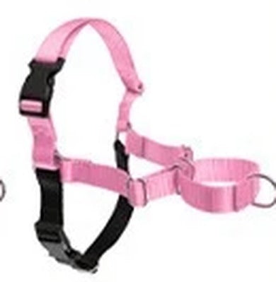 Arnes color rosa