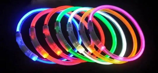 Collar LED recargable CiberPets, todos los colores disponibles brillando