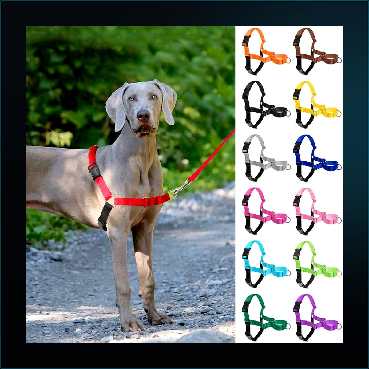 Arnes Antiescape CiberPets