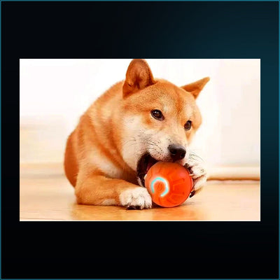 Bola Interactiva CiberPets