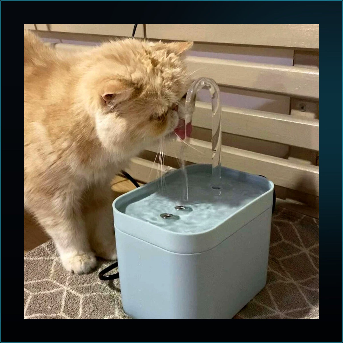 Fuente de Agua CiberPets