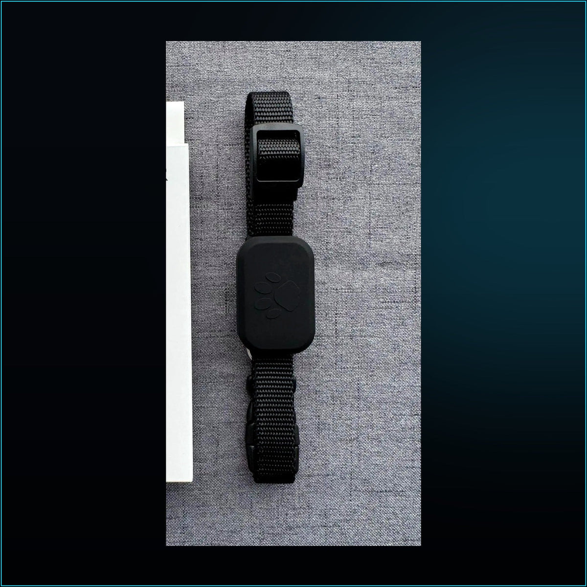 Collar GPS Universal CiberPets
