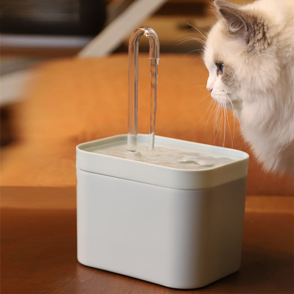 Fuente de agua inteligente LOOP, representativa de la colección Pet Tech