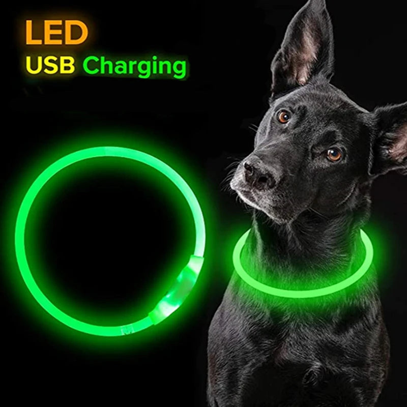 Collar LED Recargable para Mascotas, detalle 2