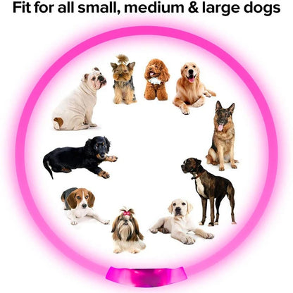 Collar LED Recargable para Mascotas