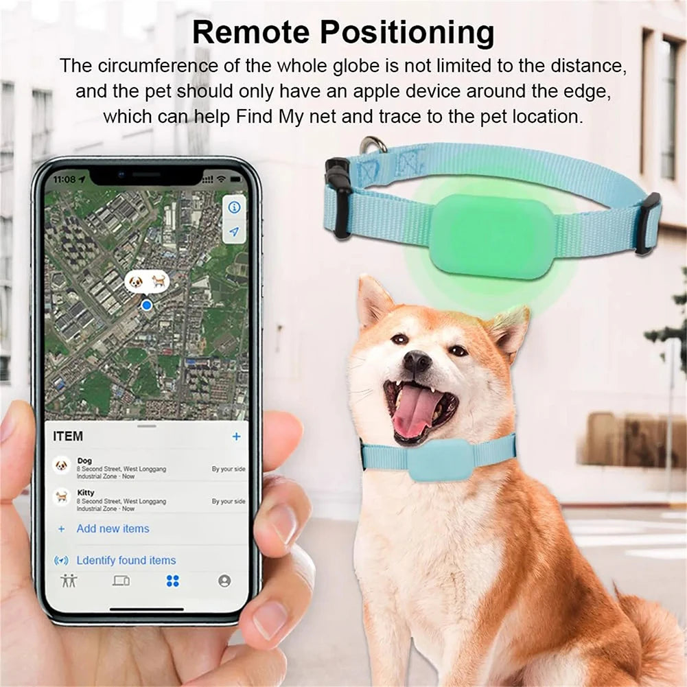 Collar GPS Bluetooth CiberPets puesto en un perro, con la app de localización en tiempo real abierta en el móvil