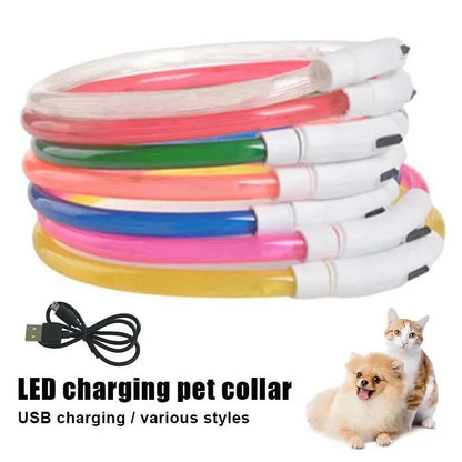 Collar LED Recargable para Mascotas, detalle 3