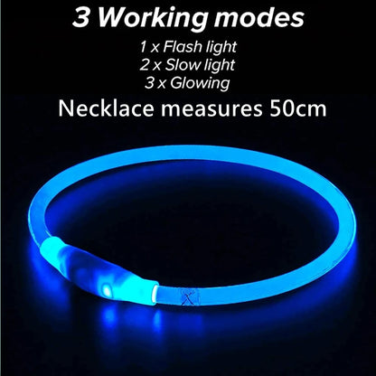 Collar LED Recargable para Mascotas
