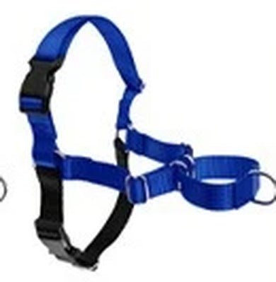 Arnes color azul real