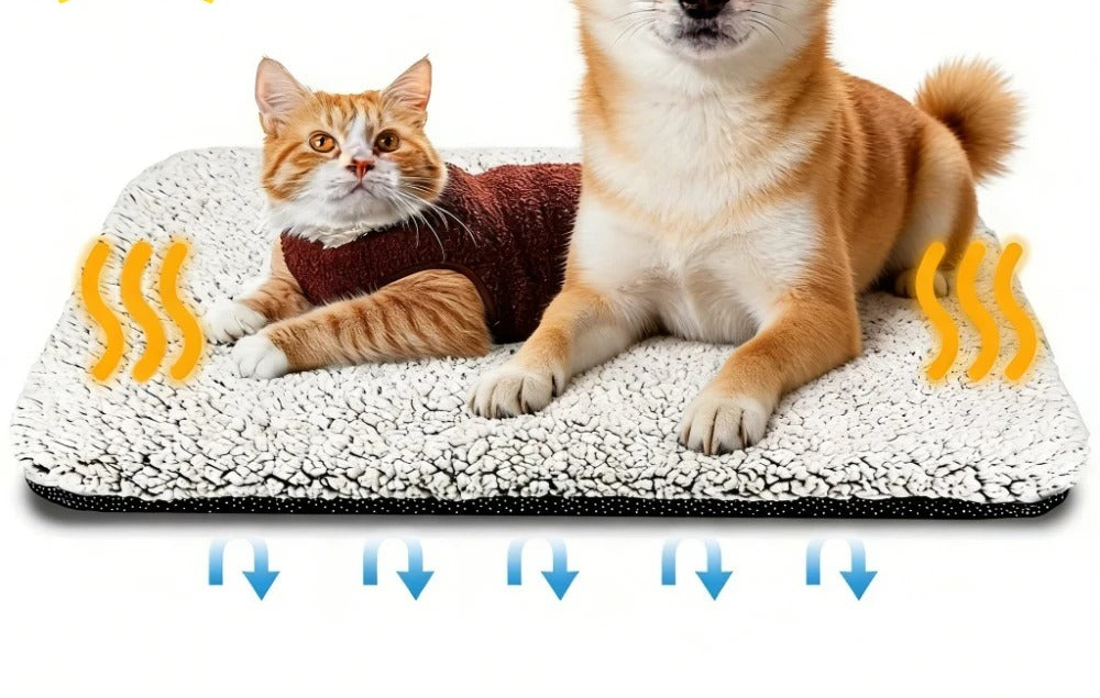 Cama autocalentable CiberPets con gato y perro descansando, sin texto superpuesto