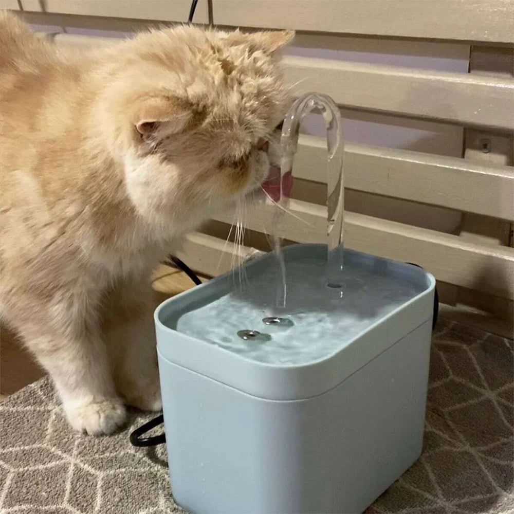 Fuente de Agua Inteligente para gatos, foto real del producto