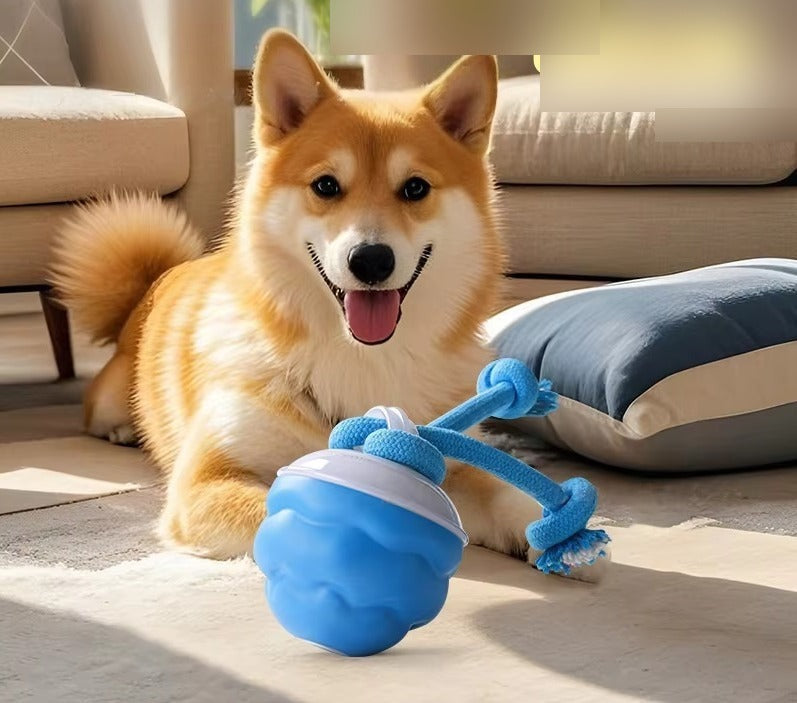 Pelota electrónica interactiva para perros CiberPets, sin texto